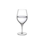 Pahar vin TERROIR 350 ml